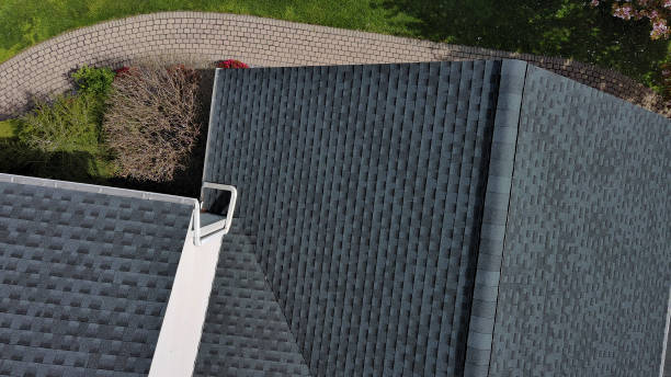 Best Skylight Installation and Repair  in Andover, MN