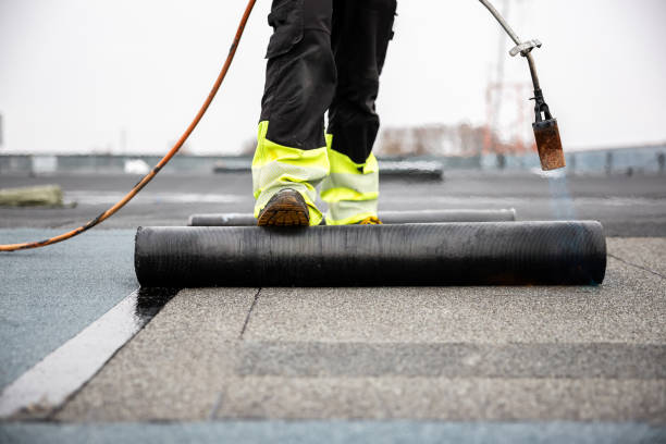 Best Steel Roofing  in Andover, MN