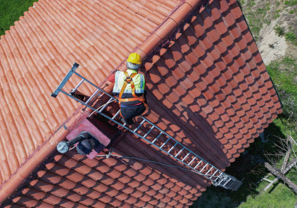 Best Emergency Roof Repair Services  in Andover, MN