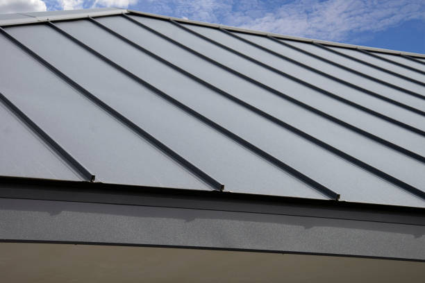 Best Flat Roofing  in Andover, MN