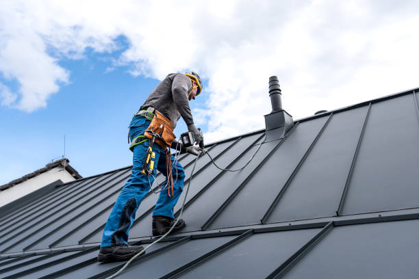 Best Roof Ventilation Installation  in Andover, MN