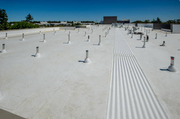 Best Rubber Roofing (EPDM, TPO)  in Andover, MN